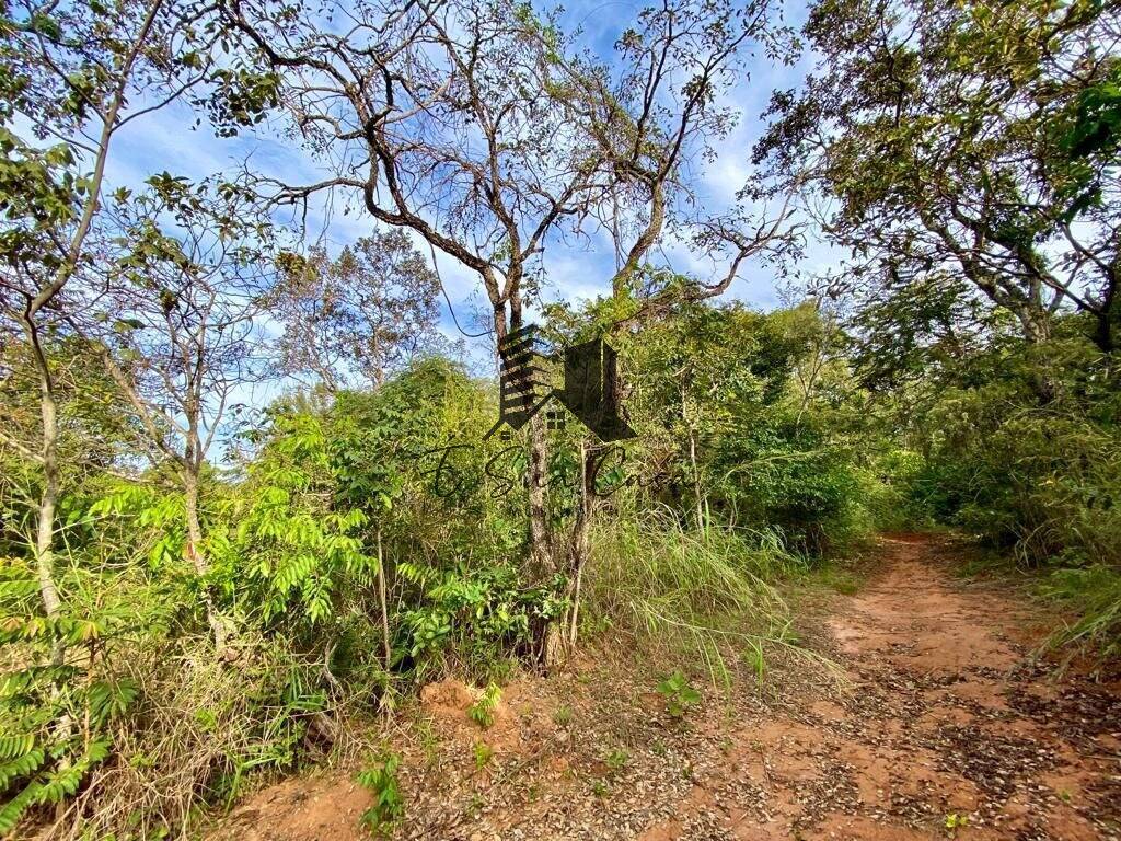 Casa à venda com 6 quartos, 500m² - Foto 35