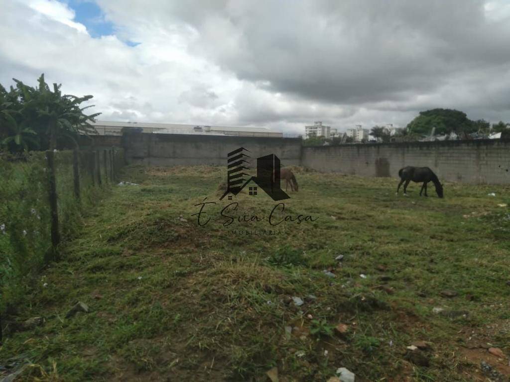 Terreno à venda, 1000m² - Foto 2