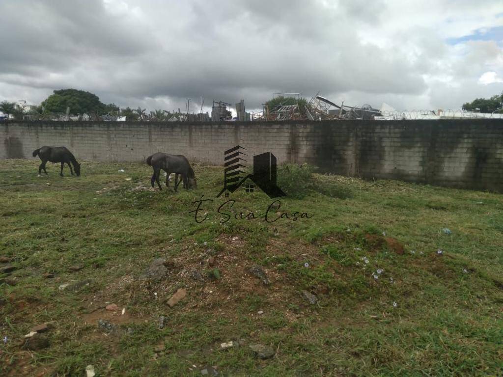 Terreno à venda, 1000m² - Foto 3