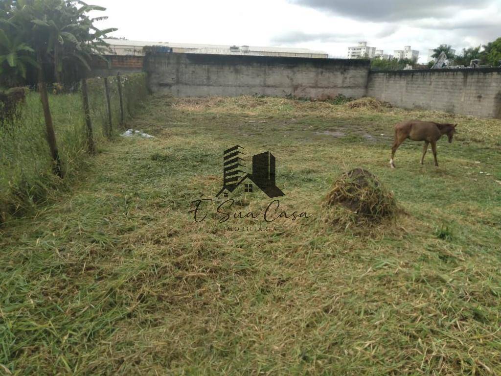 Terreno à venda, 1000m² - Foto 8