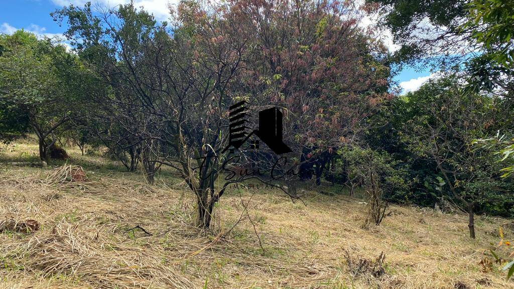 Terreno à venda, 2000m² - Foto 3