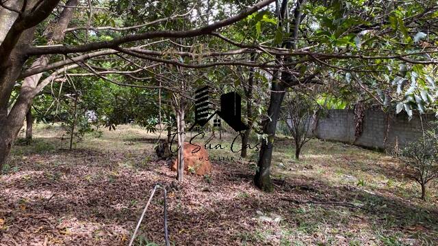 Terreno à venda, 2000m² - Foto 10